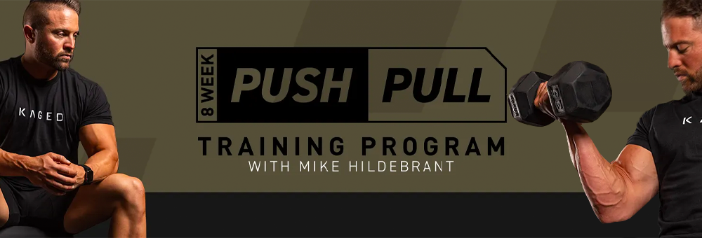 Push pull online program